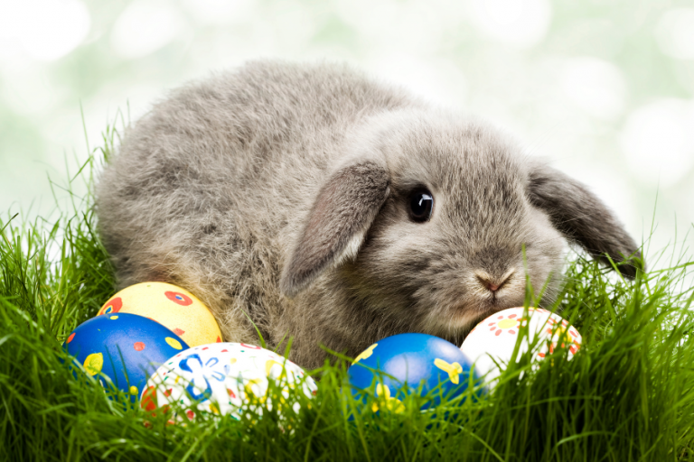 Ostern in Paris - Osterhase und Eier