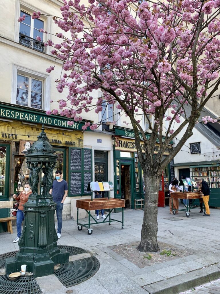 Die berühmte Buchhandlung 'Shakespeare and Company' in Paris, umgeben von blühenden rosa Kirschblüten. Vor dem Laden stehen Tische mit Büchern und Besucher, von denen einige mit Gesichtsmasken stöbern. Im Vordergrund ist ein dekorativer grüner Brunnen zu sehen.