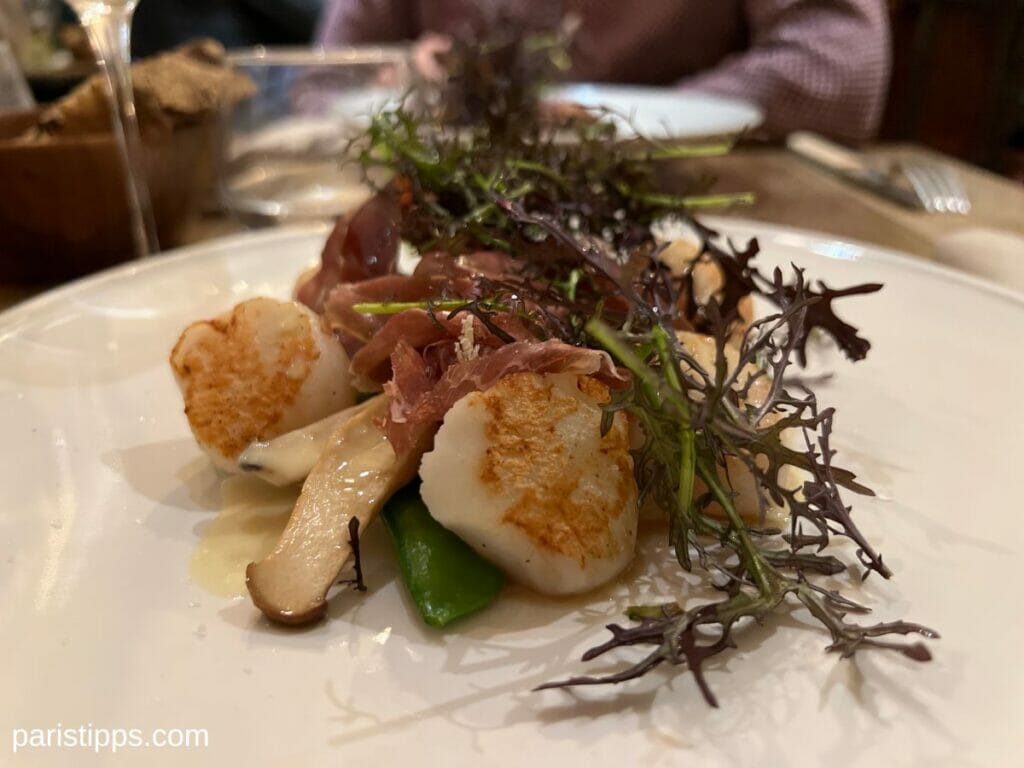 Jakobsmuscheln mit Pilzen und Schinken