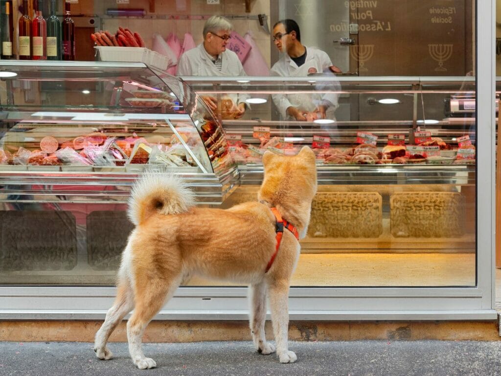 Hunde in Paris. Lebensmittelgeschäfte sind tabu