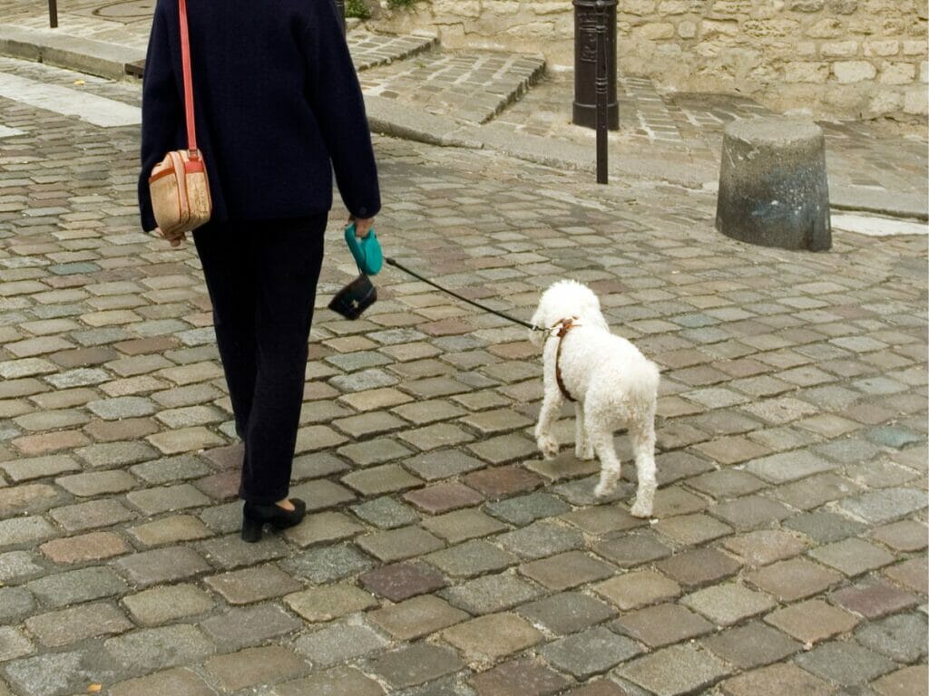 Hundekot aufheben in Paris sonst gibt es eine Geldstrafe