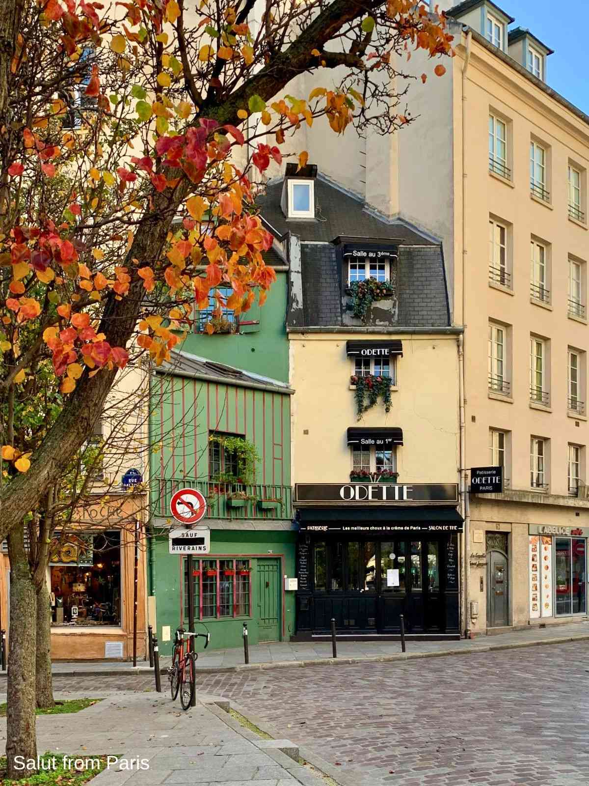 Odette Paris im Herbst