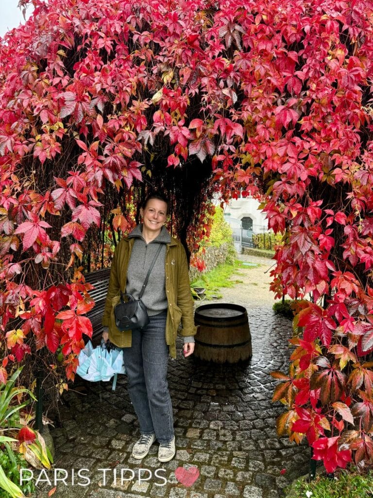 Eine Frau steht lächelnd unter einem herbstlich überwachsenen Laubtunnel aus leuchtend roten Weinblättern. Sie trägt eine grüne Jacke, grauen Hoodie, Jeans und Turnschuhe und hält einen zusammengefalteten Regenschirm in der Hand. Der Boden ist mit nassem Kopfsteinpflaster bedeckt. Im Hintergrund ist ein Weinfass und ein kleiner Weg zu sehen. Die Szene wirkt herbstlich und ruhig. Unten im Bild steht der Schriftzug „PARIS TIPPS“ mit einem Herzsymbol.